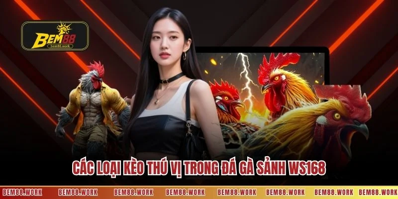 Các loại kèo thú vị trong đá gà sảnh WS168