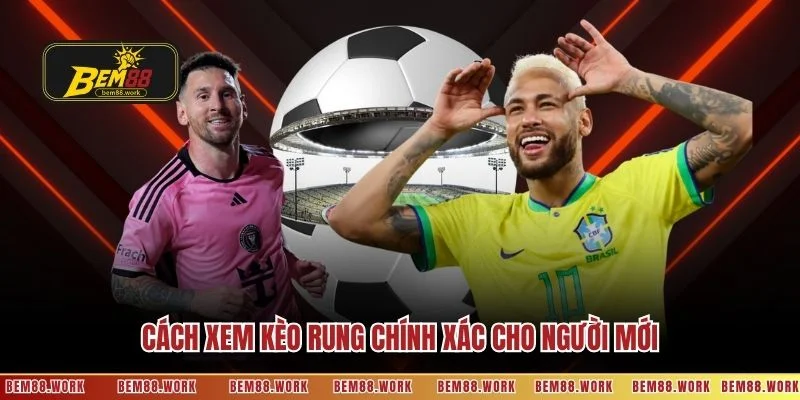 Cách xem kèo rung chính xác cho người mới