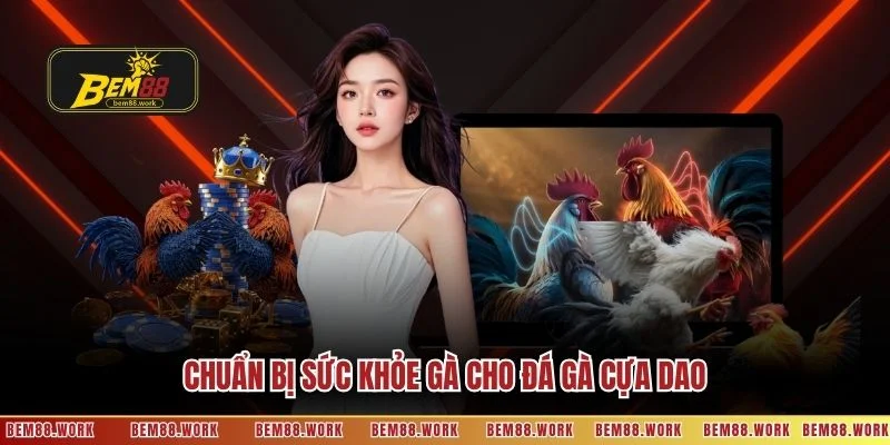 Chuẩn bị sức khỏe gà cho đá gà cựa dao