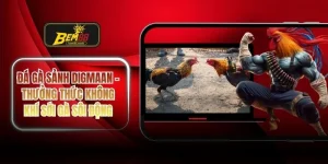 Đá gà sảnh Digmaan