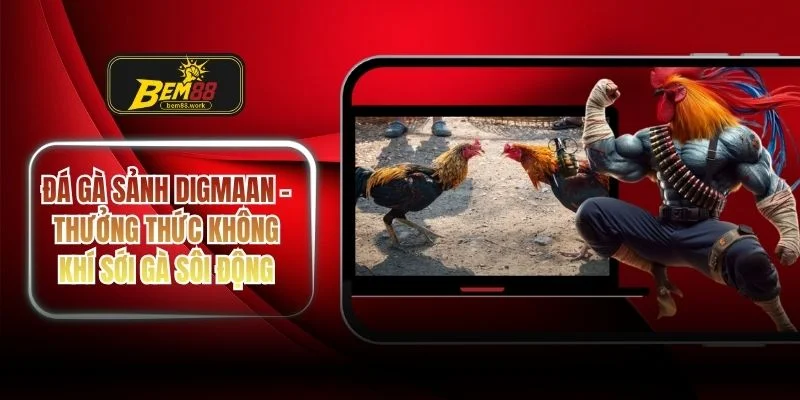Đá gà sảnh Digmaan