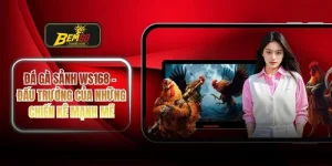 Đá gà sảnh WS168