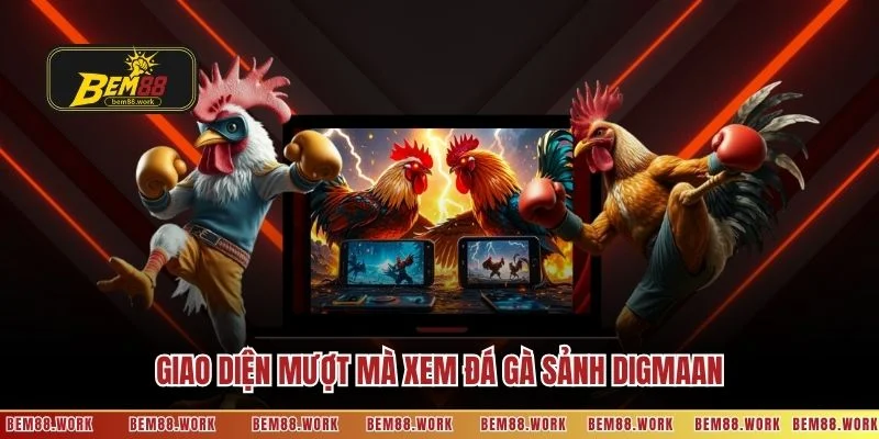 Giao diện mượt mà xem đá gà sảnh Digmaan