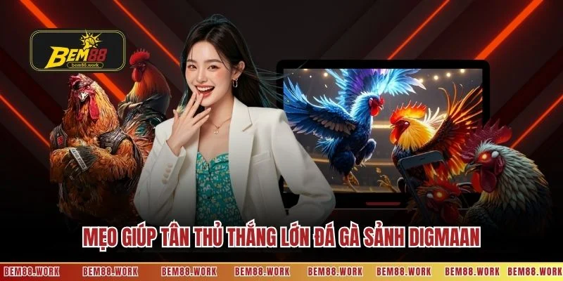 Mẹo giúp tân thủ thắng lớn đá gà sảnh Digmaan