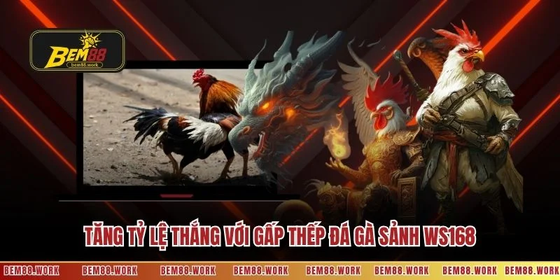 Tăng tỷ lệ thắng với gấp thếp đá gà sảnh WS168