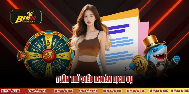 Tuân thủ điều khoản dịch vụ